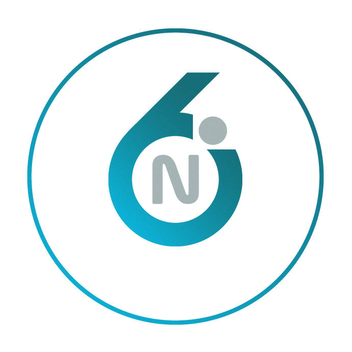 noble-6 design logo